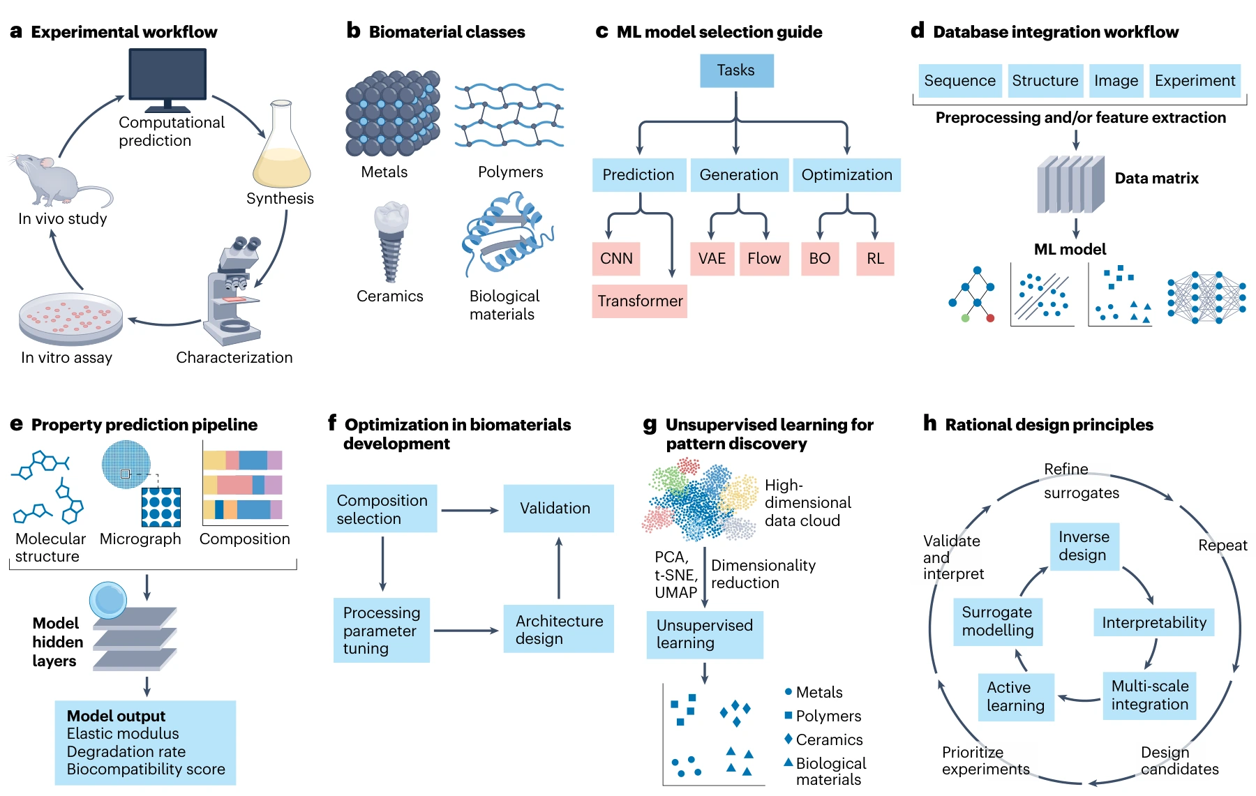 Machine learning workflows for biomaterials discovery